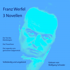 Hörbuch 3 Novellen  - Autor Franz Werfel   - gelesen von Wolfgang Schrader