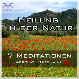 Hörbuch Heilung in der Natur - 7 einzigartige geführte Meditationen zum Auftanken im Alltag  - Autor Franziska Diesmann   - gelesen von Franziska Diesmann