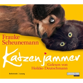 Hörbuch Katzenjammer  - Autor Frauke Scheunemann   - gelesen von Heikko Deutschmann