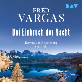 Hörbuch Bei Einbruch der Nacht - Kommissar Adamsberg, Band 2 (Ungekürzt)  - Autor Fred Vargas   - gelesen von Peter Jordan