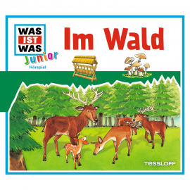 Hörbuch 11: Im Wald  - Autor Friederike Wilhelmi   - gelesen von Schauspielergruppe