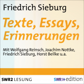 Friedrich Sieburg - Texte, Essays, Erinnerungen