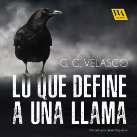 Hörbuch Lo que define a una llama  - Autor G.G. Velasco   - gelesen von Juan Magraner