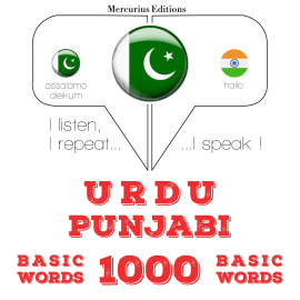 Hörbuch 1000 پنجابی میں ضروری الفاظ  - Autor جے ایم گارڈنر   - gelesen von الفاٹ مرکوریئس