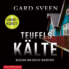 Hörbuch Teufelskälte  - Autor Gard Sveen   - gelesen von Detlef Bierstedt
