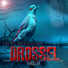 Hörbuch DROSSEL  - Autor Georg Bruckmann   - gelesen von Georg Bruckmann