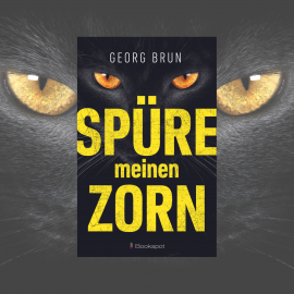 Hörbuch Spüre meinen Zorn  - Autor Georg Brun   - gelesen von Johanna Anke