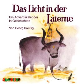 Hörbuch Das Licht in der Laterne - Ein Adventskalender in Geschichten  - Autor Georg Dreißig   - gelesen von Peter Kaempfe