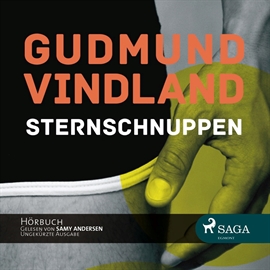 Hörbuch Sternschnuppen  - Autor Gudmund Vindland   - gelesen von Samy Andersen