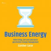 Business Energy - Mehr Erfolg, Zeit und Geld durch geschicktes Energie-Management