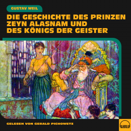 Hörbuch Die Geschichte des Prinzen Zeyn Alasnam und des Königs der Geister  - Autor Gustav Weil   - gelesen von Gerald Pichowetz
