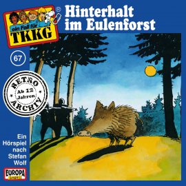 Hörbuch TKKG - Folge 67: Hinterhalt im Eulenforst  - Autor H.G. Francis  