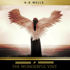 Hörbuch The Wonderful Visit  - Autor H. G. Wells   - gelesen von Erica Collins