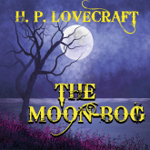 The Moon-Bog