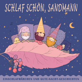Hörbuch Schlaf schön, Sandmann  - Autor Hans Christian Andersen   - gelesen von Sebastian Lohse