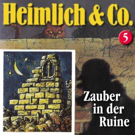 Hörbuch Heimlich & Co., Folge 5: Zauber in der Ruine  - Autor Hans-Joachim Herwald   - gelesen von Schauspielergruppe