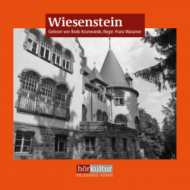 Hörbuch Wiesenstein  - Autor Hans Pleschinski   - gelesen von Schauspielergruppe