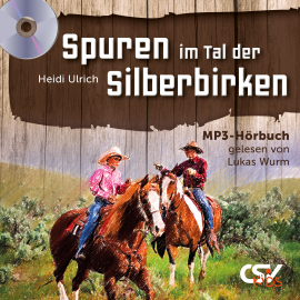 Hörbuch Spuren im Tal der Silberbirken  - Autor Heidi Ulrich   - gelesen von Lukas Wurm