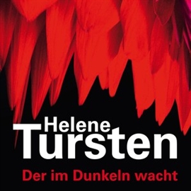 Hörbuch Der im Dunkeln wacht  - Autor Helene Tursten   - gelesen von Katja Danowski