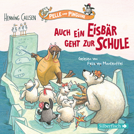 Hörbuch Auch ein Eisbär geht zur Schule (Pelle und Pinguine 2)  - Autor Henning Callsen   - gelesen von Felix von Manteuffel