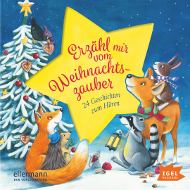 Hörbuch Erzähl mir vom Weihnachtszauber  - Autor Henriette Wich   - gelesen von Schauspielergruppe