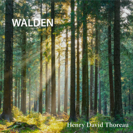 Hörbuch Walden  - Autor Henry David Thoreau   - gelesen von Jack Shelly