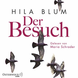 Hörbuch Der Besuch  - Autor Hila Blum   - gelesen von Maria Schrader