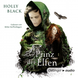 Hörbuch Der Prinz der Elfen  - Autor Holly Black   - gelesen von Britta Steffenhagen