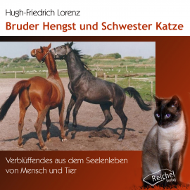 Hörbuch Bruder Hengst und Schwester Katze  - Autor Hugh-Friedrich Lorenz   - gelesen von Schauspielergruppe