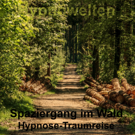 Hörbuch Spaziergang im Wald  - Autor Hypnowelten   - gelesen von Michael Gorka
