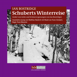 Hörbuch Schuberts Winterreise  - Autor Ian Bostridge   - gelesen von Matthias Neukirch