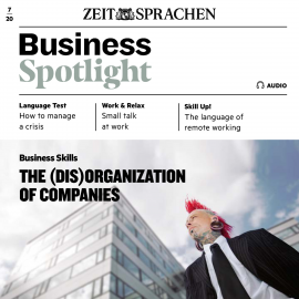 Hörbuch Business-Englisch lernen Audio - The (dis)organization of companies  - Autor Ian McMaster   - gelesen von Doug Bolduc