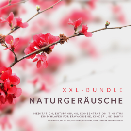 Hörbuch XXL-Bundle: Naturgeräusche  - Autor Institut für Entspannungstechniken   - gelesen von Institut für Entspannungstechniken
