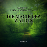 Geführte Einschlafmeditation / Einschlafhilfe / Hörbuch zum Einschlafen