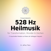 Hörbuch Frequenzbasierte 528 Hz Heilmusik für Transformation, Wunder und Zeichen  - Autor Institut für Klangheilung   - gelesen von Sebastian Hesse