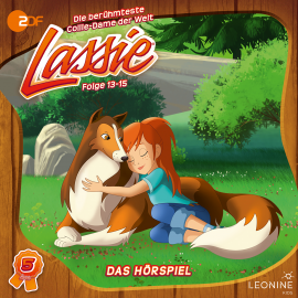 Hörbuch Folgen 13-15: Wo ist Lassie?  - Autor Irene Timm   - gelesen von Schauspielergruppe