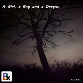 Hörbuch A Girl, a Boy and a Dragon  - Autor jaad melle   - gelesen von centersoft