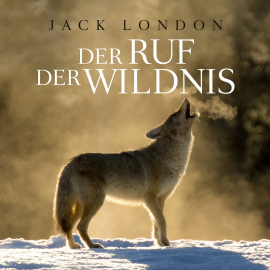 Hörbuch Der Ruf der Wildnis  - Autor Jack London   - gelesen von Johannes Steck