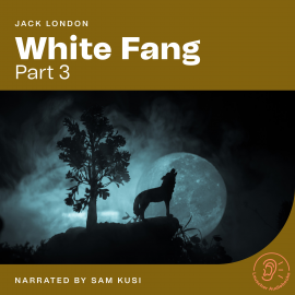 Hörbuch White Fang (Part 3)  - Autor Jack London   - gelesen von Schauspielergruppe