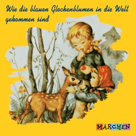 Hörbuch Wie die blauen Glockenblumen in die Welt gekommen sind (ungekürzt)  - Autor Jacob und Wilhelm Grimm   - gelesen von Margit Humer-Seeber