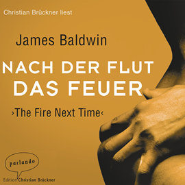 Hörbuch Nach der Flut das Feuer  - Autor James Baldwin   - gelesen von Christian Brückner