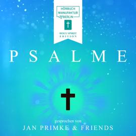 Hörbuch Kreuz - Psalme, Band 1 (ungekürzt)  - Autor Jan Primke   - gelesen von Schauspielergruppe