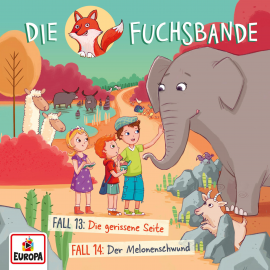 Hörbuch Folge 07: Fall 13: Die gerissene Seite / Fall 14: Der Melonenschwund  - Autor Jana Lini  