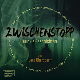 Hörbuch Zwischenstopp - Dunkle Geschichten  - Autor Jana Oltersdorff   - gelesen von Schauspielergruppe