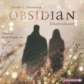 Hörbuch Obsidian  - Autor Jennifer L. Armentrout   - gelesen von Merete Brettschneider