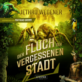 Hörbuch DER FLUCH DER VERGESSENEN STADT  - Autor Jethro Wegener   - gelesen von Mathias Grimm