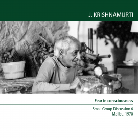 Hörbuch Fear in consciousness  - Autor Jiddu Krishnamurti   - gelesen von Jiddu Krishnamurti
