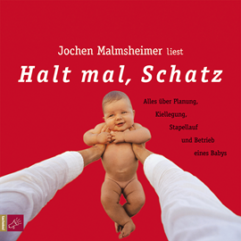 Hörbuch Halt mal, Schatz  - Autor Jochen Malmsheimer   - gelesen von Jochen Malmsheimer