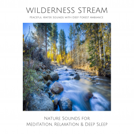 Hörbuch Wilderness Stream: Peaceful water sounds with deep forest ambience  - Autor Joe Hayworth   - gelesen von Robert Martin