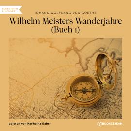 Hörbuch Wilhelm Meisters Wanderjahre, Buch 1 (Ungekürzt)  - Autor Johann Wolfgang von Goethe   - gelesen von Karlheinz Gabor